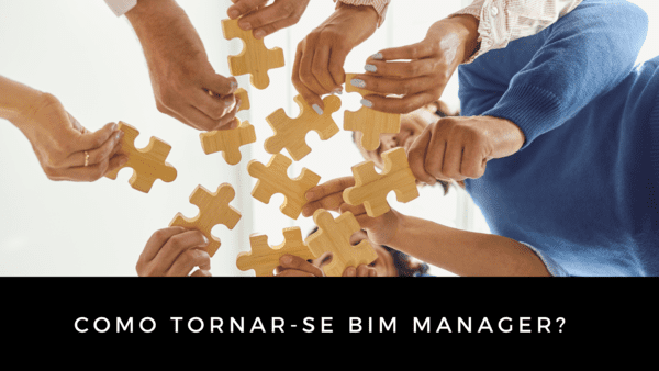 Como Tornar-Se BIM Manager?